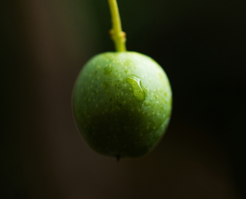 oliva-nero-845x684